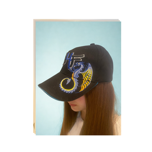 BHF Fan Cap